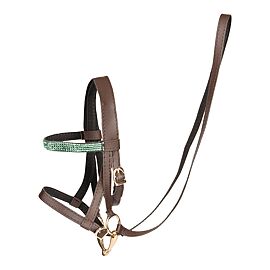 Cheval Roi Hobbyhorse Bridle